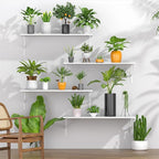 Deep Floating Shelves for Wall Set of 3, 24W x 12 Inch Deep White Floating - Image 6