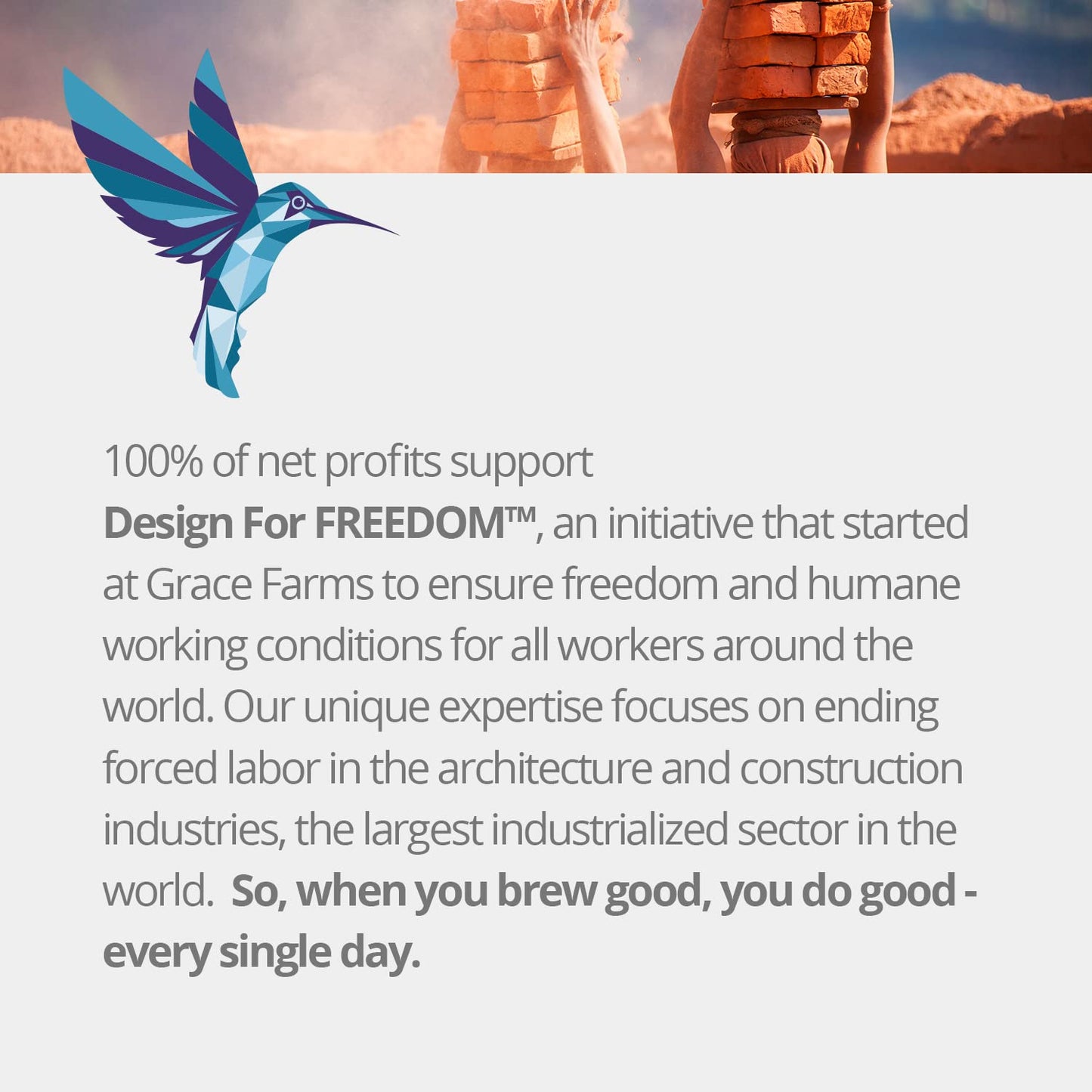 Grace Farms Organic CHAMOMILE CITRUS Herbal Tea (100 Enveloped Pyramid Sachets w/ String & Tag) | Naturally Sweet, Healthy and Caffeine Free | Organic, Fair Trade and Kosher Certified | Gives Back 100% of Profits