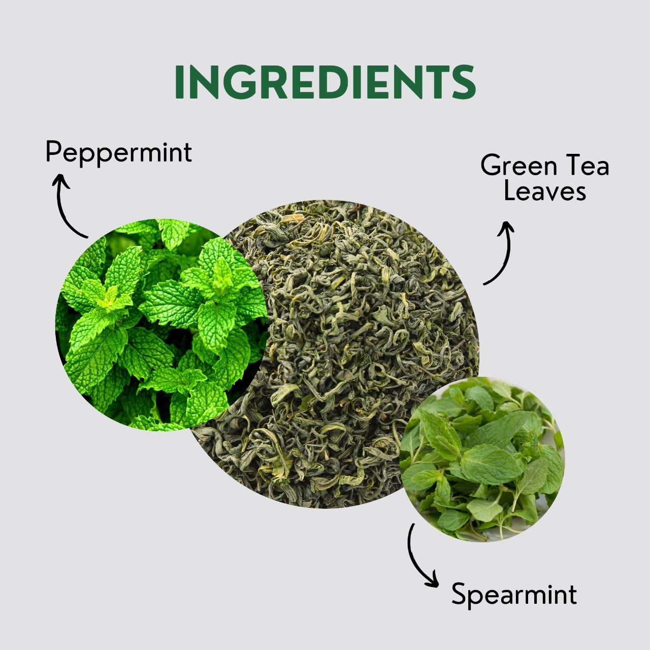 Mint Green Tea Bags (50 Count), Green Tea with Peppermint & Spearmint, Caffeinated, Real and Natural Green Tea, Blended with Fresh Herbs and Spices, Gluten Free