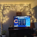 Enchanted Willow Vine Lights for Wall: 7.5FT led Twinkling Tree Branch Light - Image 4