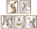 Vodefoad Funny Bunny Bathroom Wall Art 5pcs Bundle Easter Rabbit Posters Animal by VodefoadVintageWallArt