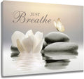 EOBTAIN Zen Flower Canvas Wall Art Bathroom Butterfly and Water Lily Stone by EOBTAIN