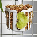 Staghorn Fern Mount Wall Planter Basket Vertical Orchid Hanging Planter - Image 6