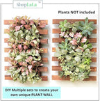 ShopLaLa Wall Planter - Image 4