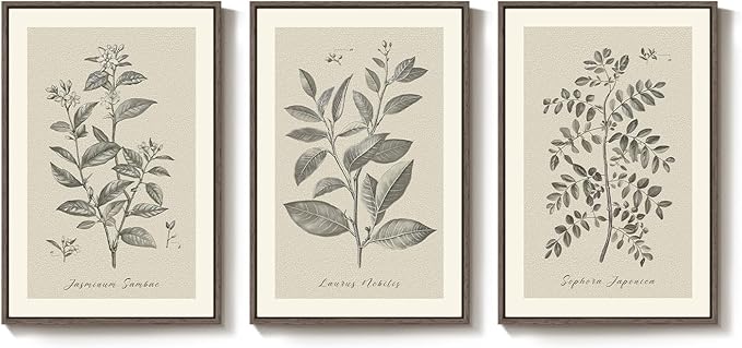 Framed Vintage Botanical Wall Art, 3 Piece Neutral Floral Plants Canvas - Image 8