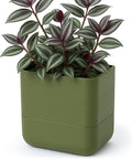 Phoenix Vine 6.5 Inch Wall Mounted Self-Watering Planter Pot by Phoenix+Vine