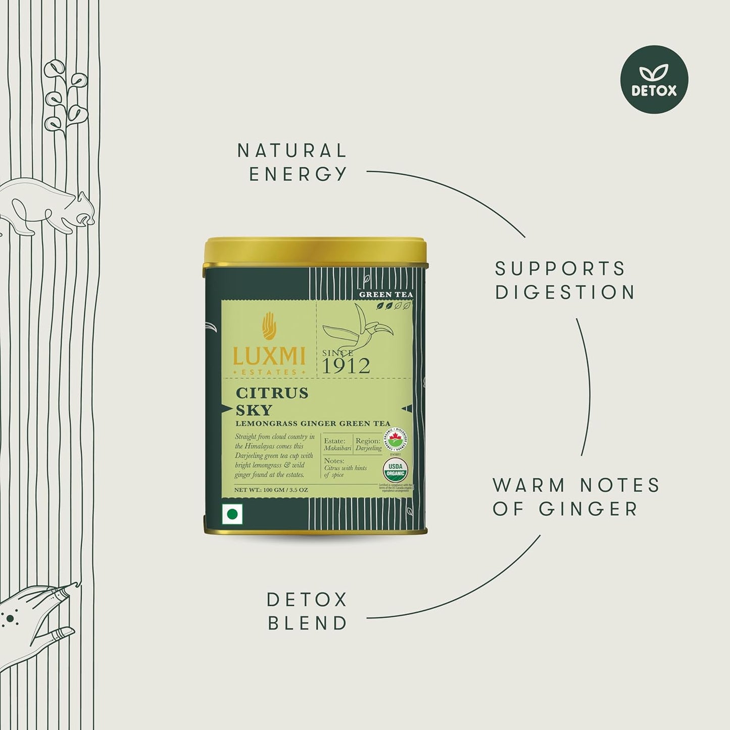 Luxmi Estates Citrus Sky Green Tea 100gm Tin | Certified Organic Darjeeling Green Tea