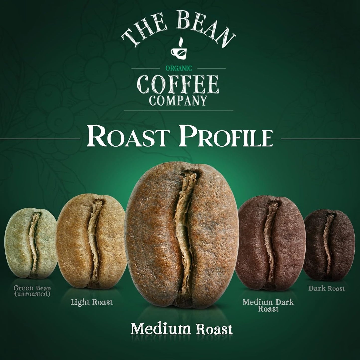 The Bean Organic Coffee Company South America, Medium Roast, Whole Bean Coffee, 16-Ounce Bags (Pack of 2)