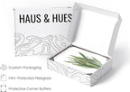HAUS AND HUES Plant Wall Art - Image 4