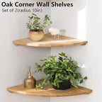 Corner Shelves, Floating Corner Shelf, Round End Wall Mount Display Shelf - Image 8
