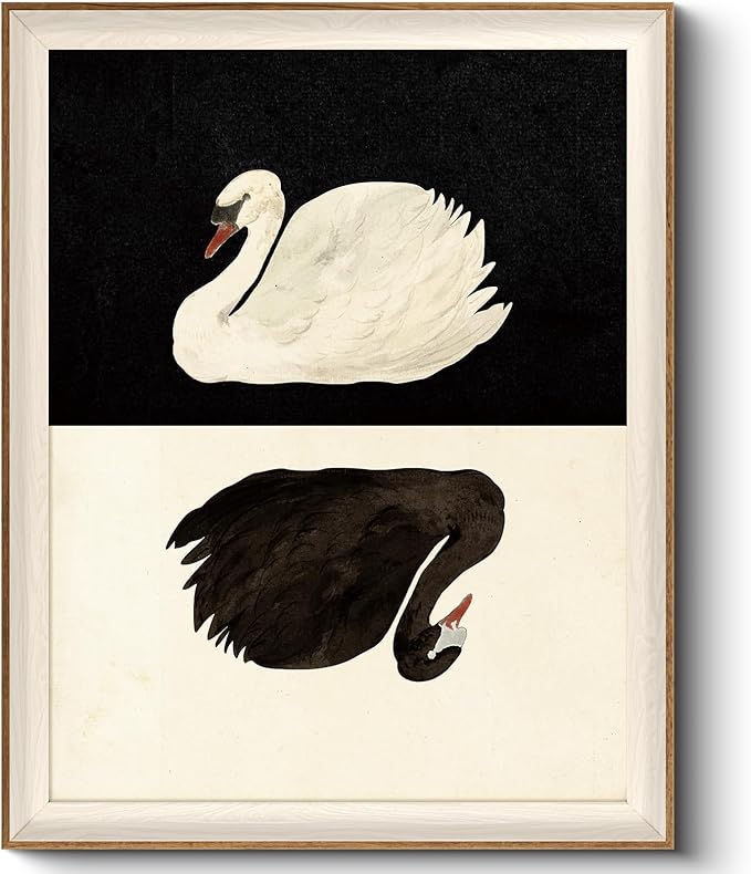 VIYYIEA Framed Wall Art for Living Room, Swan Canvas Prints, Vintage Home Decor by VIYYIEAART