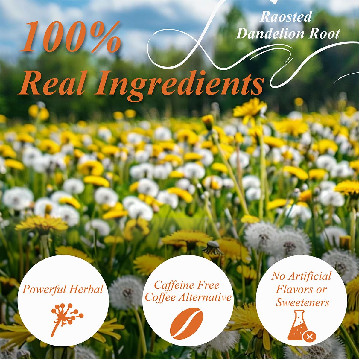 WT WEETEE Roasted Dandelion Root Tea Bags, 100 Count Dandelion Tea with Light Earthy & Roasted Aroma, Natural Caffeine Free Herbal Tea, Coffee Alternatives