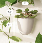 Make Good PlantPod Luxe Self-Watering Wall Planters - Image 2