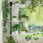 Rotating Window Plant Shelves 3-Tier, Wooden Window Shelf - Image 6