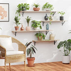 DINZI LVJ Long Wall Shelves, 47.3Inch Wall Mounted Shelves Set of 2, Extra - Image 5