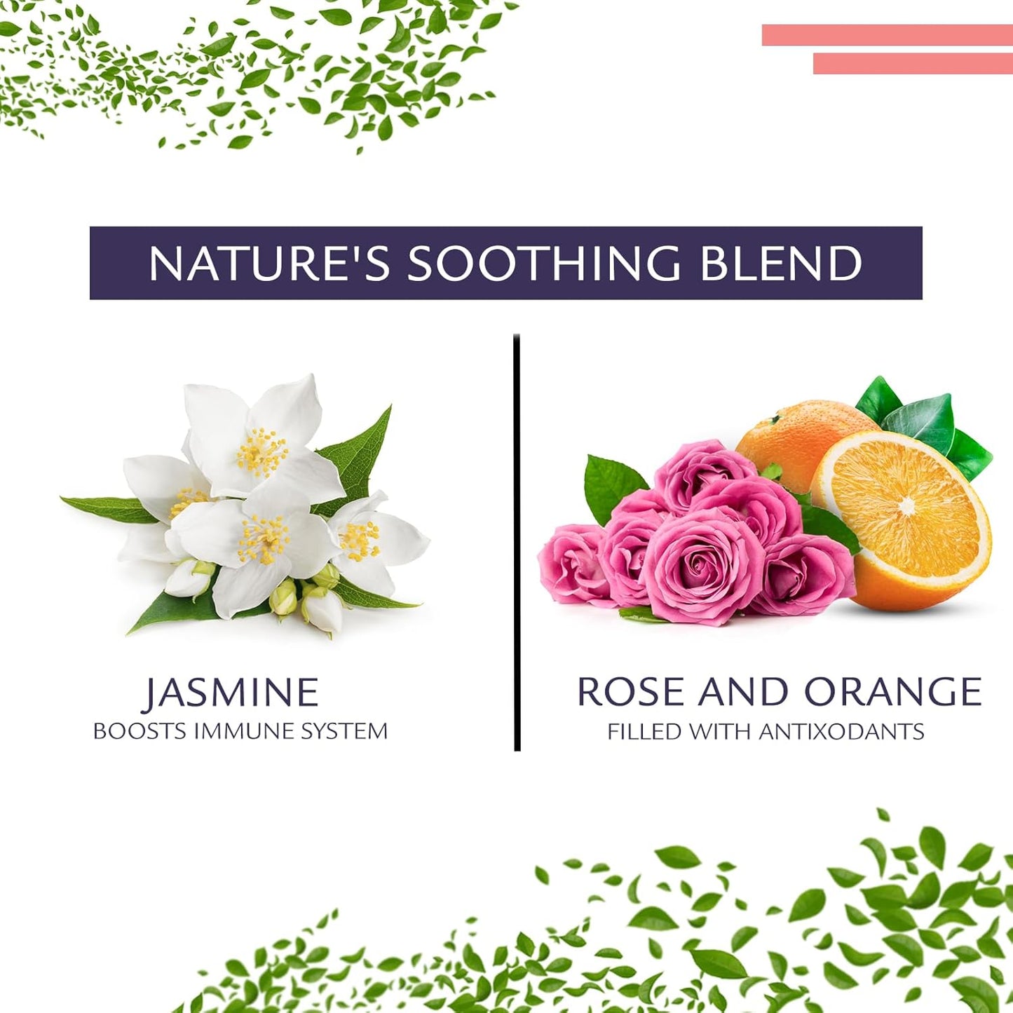 Birdsong Midnight Rosefinch: Organic Jasmine Green Tea with Rose and Orange, Light, Refreshing, Soothin Natural Tea with Citrus and Honey Notes, Medium Caffeine, 15 Pyramid Tea Sachets