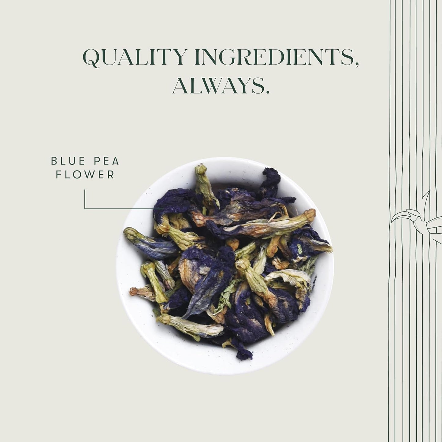 Luxmi Estates Butterfly Pea Flower Organic Blue Pea Flower Tea (50 Tea Bags) Caffeine Free Tea Bags For Relaxing, Calming, and Stress Relief, With Certified Herbal Tea