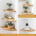 Corner Shelves, Floating Corner Shelf, Round End Wall Mount Display Shelf - Image 5