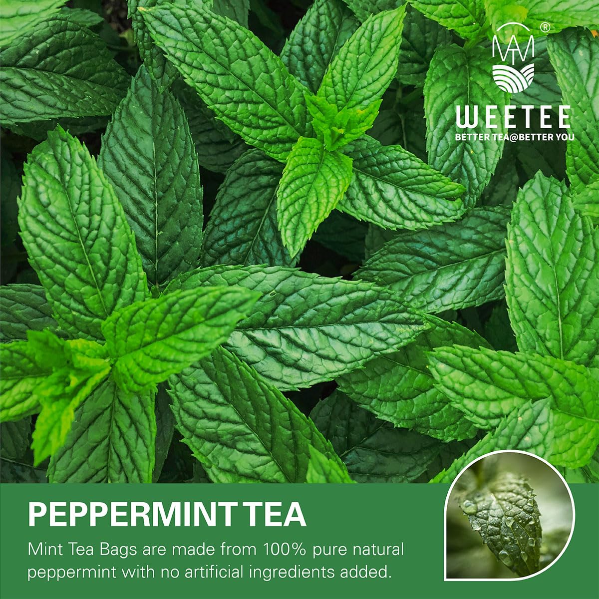 WT WEETEE Peppermint Tea Bags, Made with 100% Pure Peppermint, Fresh Minty Flavour Herbal Tea, Naturally Caffeine Free, 100 Count