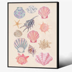 Pink Shell Posters Funky Coastal Cowgirl Wall Art Vintage Beach House by Unknown