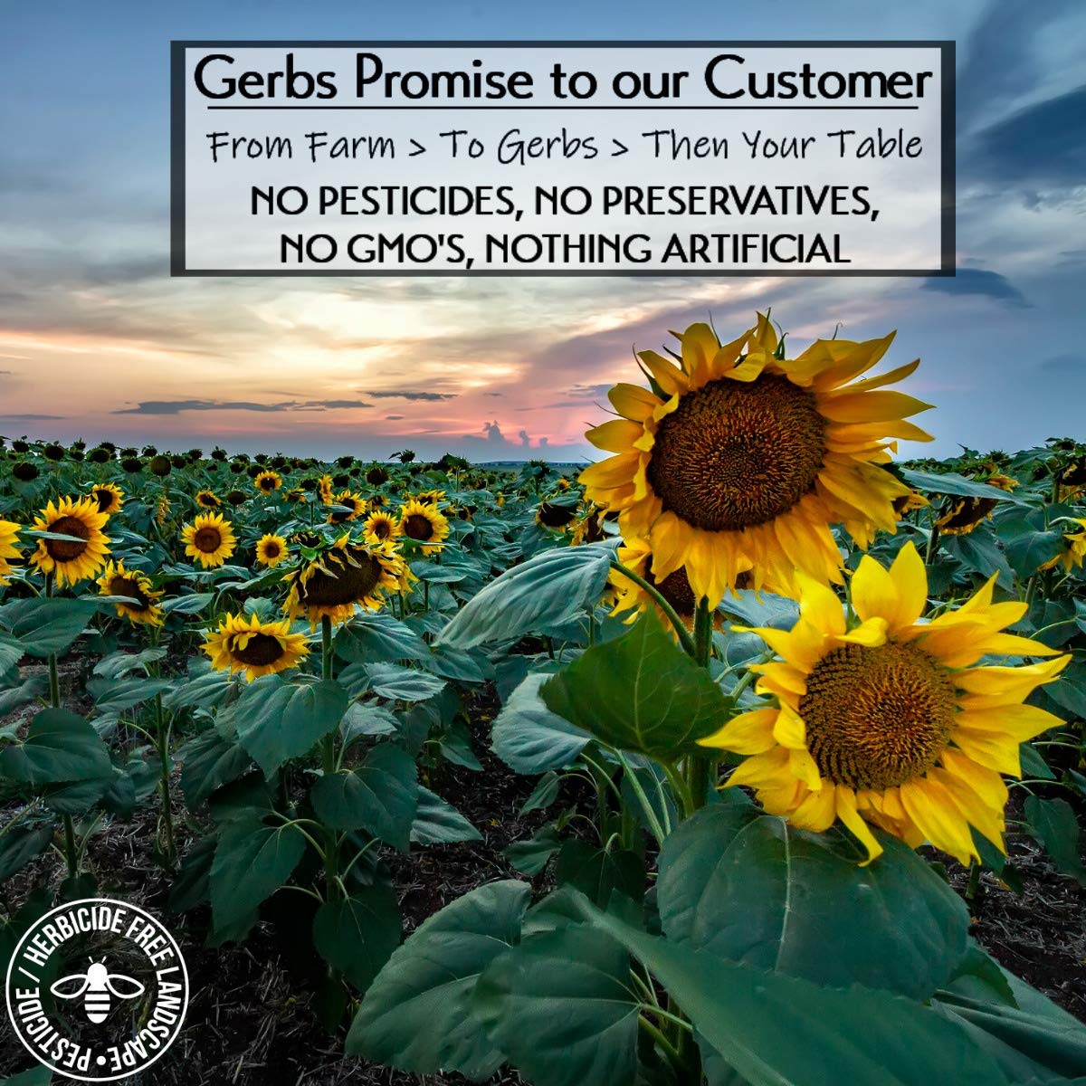 GERBS Sunflower Seed Meal 4 LBS. Premium Grade | Freshly Harvested & Packaged in Resealable Bulk Bag | Non-GMO, Keto & Paleo | Anti-Inflammatory Benefits, Prevent & Fight Sickness | Gluten Peanut Free