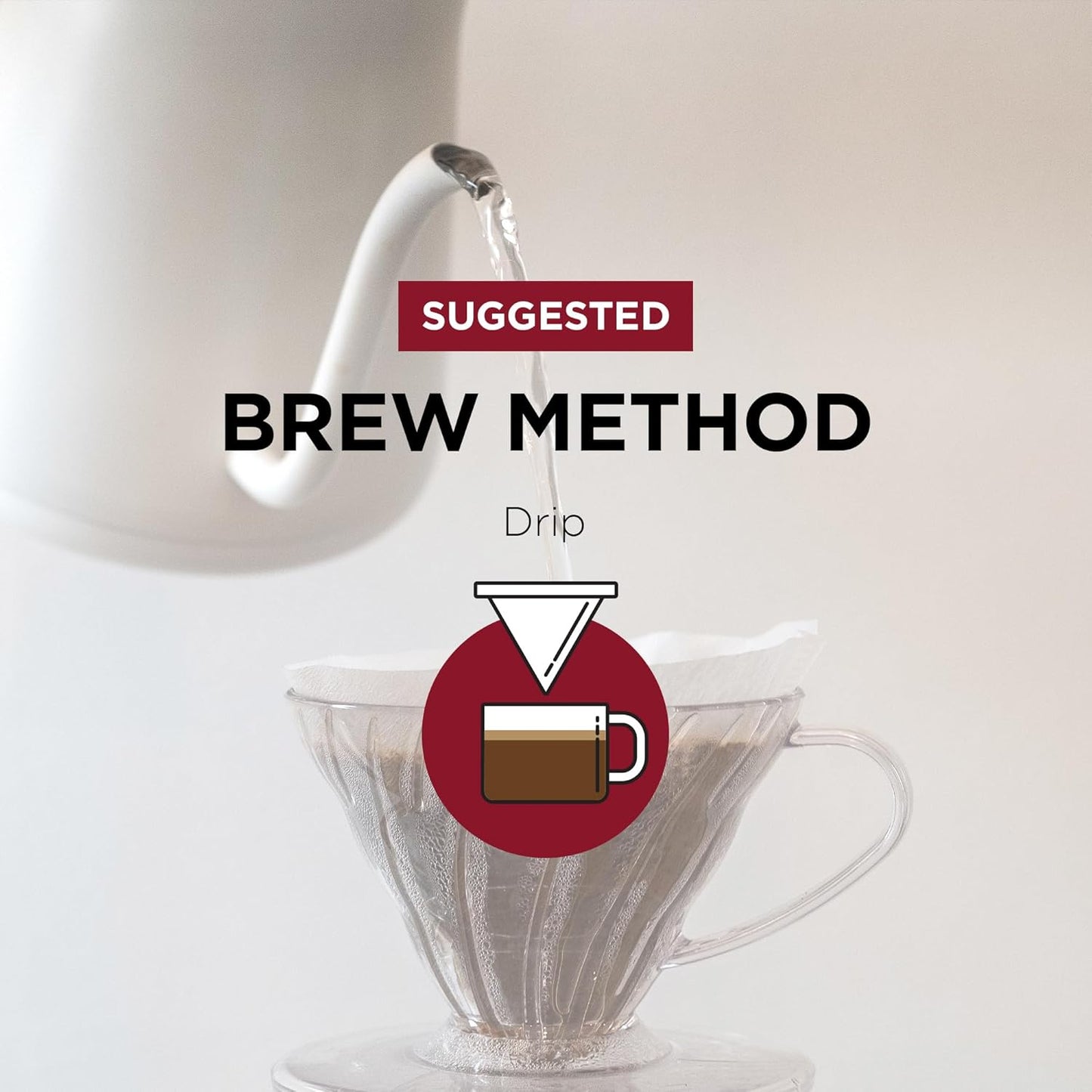 Fonte Coffee Roaster - Drip Coffee - Medium-Dark Fresh Roast - Roasted in Seattle - Single Origin - Bright, Chocolately, Balanced - 12 oz - Fonte AA