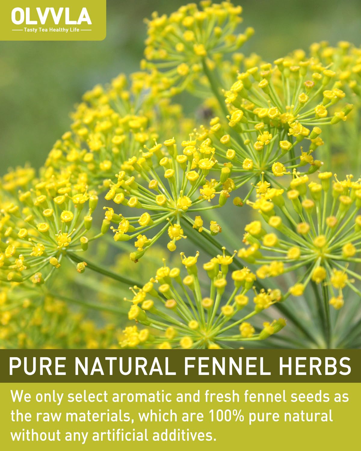 Olvvla - Premium Fennel Tea Bags - 4g X 50 Count - 100% Pure Natural Whole Fennel Seeds - Sweet & Smooth - Non-GMO - Caffeine-free - Support Digestion & Promote Relaxation