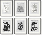 Framed Matisse Wall Art for Living Room, Abstract Aesthetic Pictures for Bedroom by Cuspin