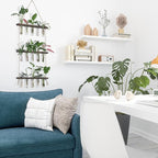 XXXFLOWER Wall Hanging Propagation Station - Image 9