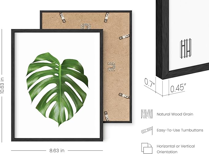 HAUS AND HUES Plant Wall Art - Image 3