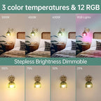 Shenmoyl Vintage Battery Operated Wall Sconce, 5000mAh Rechargeable Wall Light - Image 4
