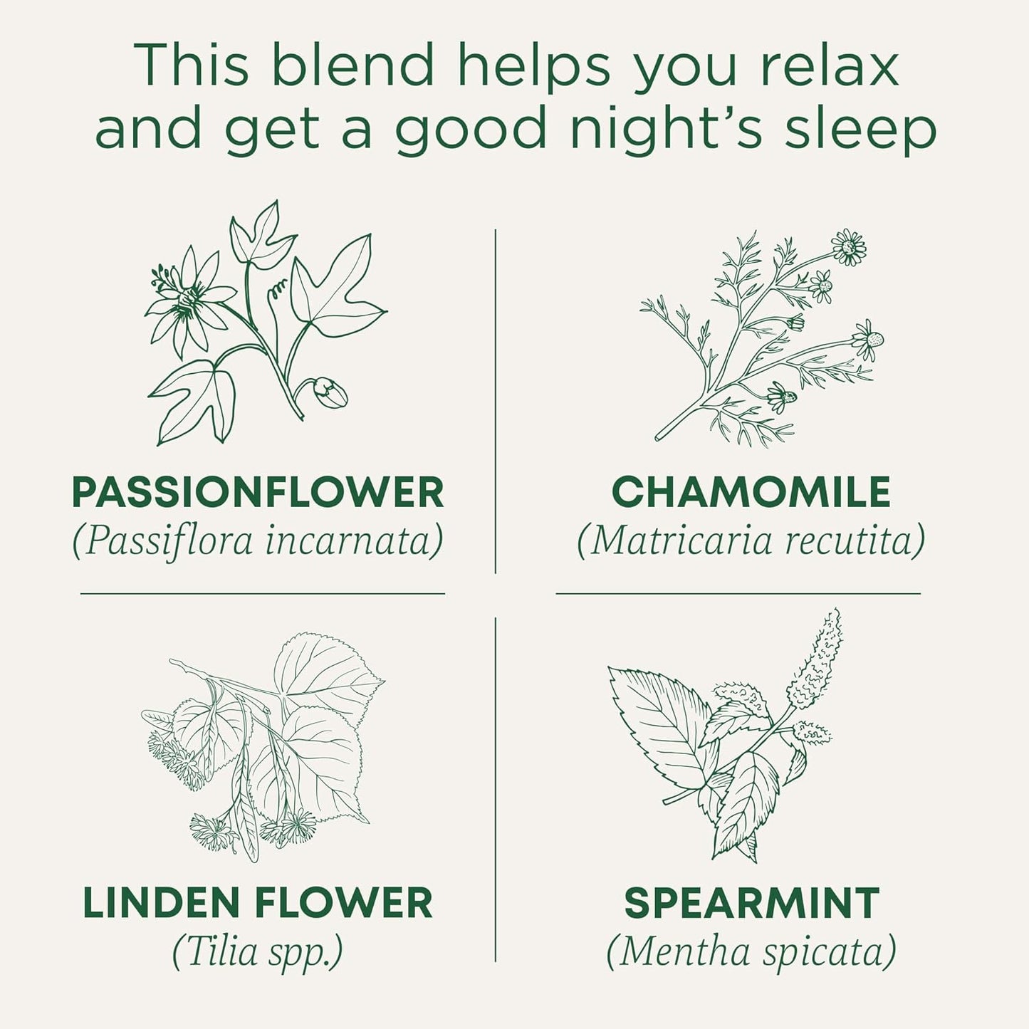 Traditional Medicinals Tea, Organic Nighty Night, Relax & Get a Good Night's Sleep, Includes Spearmint 96 Tea Bags (6 Pack)
