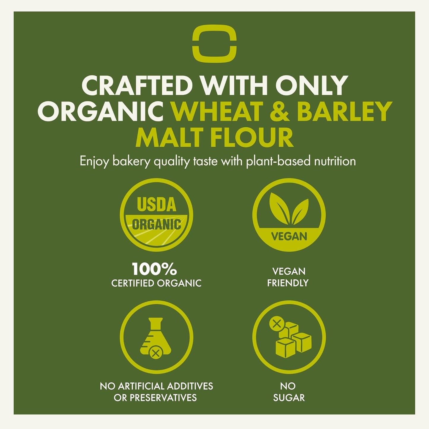 Let’s Bake Bread Organic Pizza Crust Baking Mix - Crispy & Chewy Artisan Crust - USDA Organic, Non-GMO, No Additives, Easy Home Baking, Pizzeria-Quality Dough at Home - 17.64 oz (1 Pack)