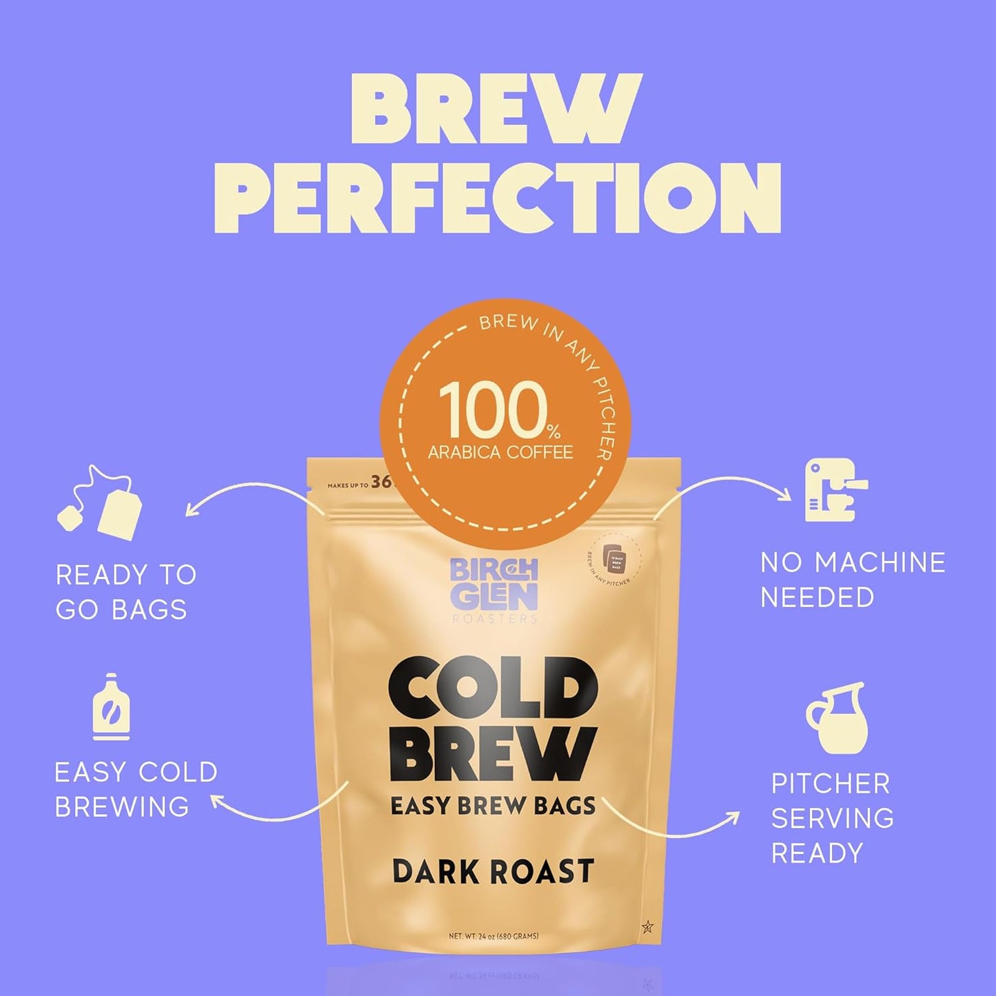 Birch Glen Roasters Cold Brew Coffee Bags - 12 Pack of Coarse Ground Coffee Filter Pitcher Packs for Easy Brewing - 100% Arabica - Yields 6 Pitchers - Dark Roast