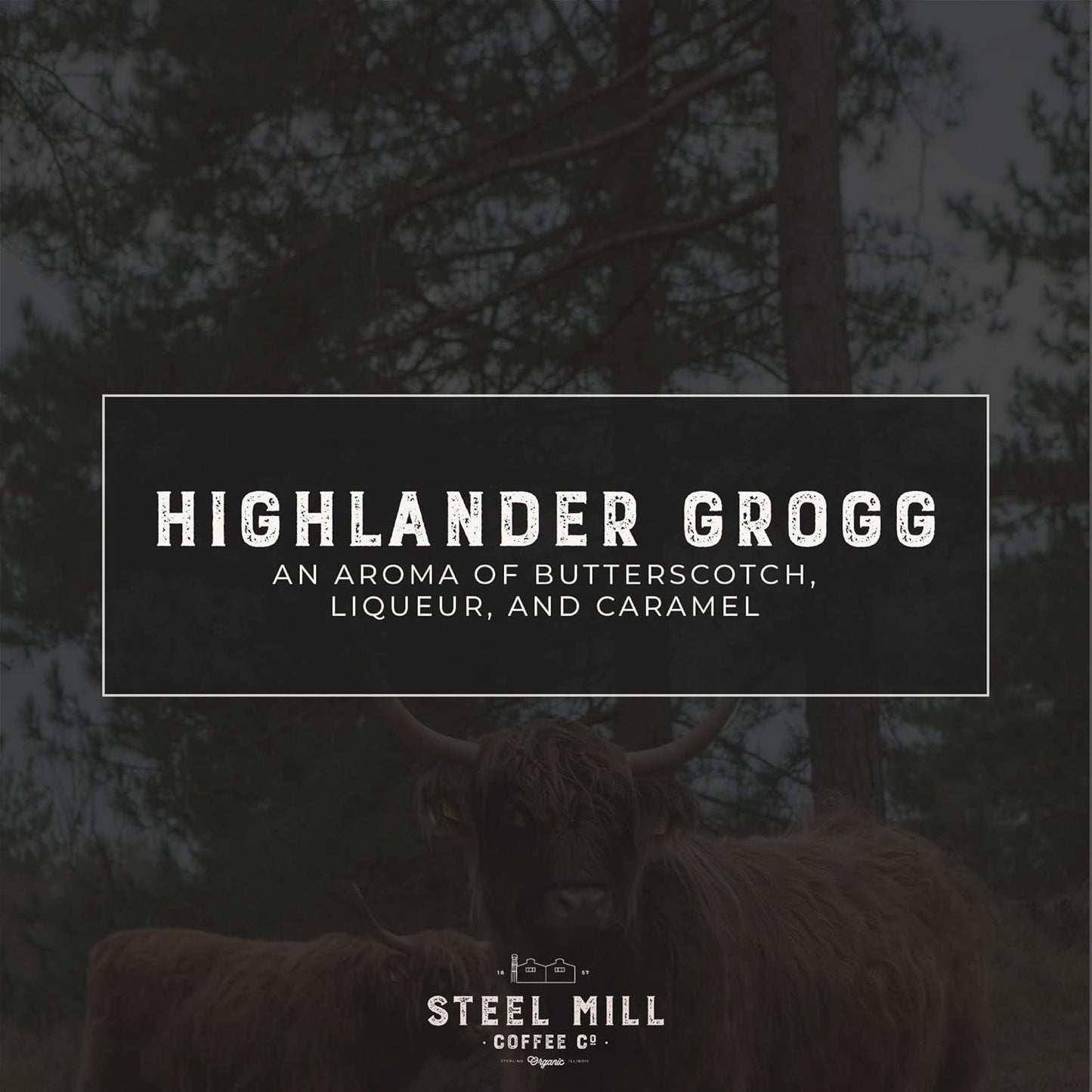 Steel Mill Coffee Co. Highlander Grogg Flavored Coffee - Ground Coffee, Regular, Medium Roast, 100% Arabica Beans, Vegan, Gluten-Free, Sugar-Free, 12 oz Bag