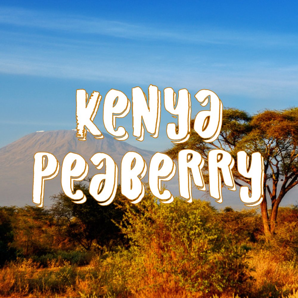 Kenya Peaberry Coffee, Whole Bean, Single Origin, Fresh Roasted, 16-ounce