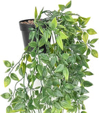 BLEUM CADE Fake Hanging Plants, Faux Mandala Vines Hanging Plant Greenery - Image 2