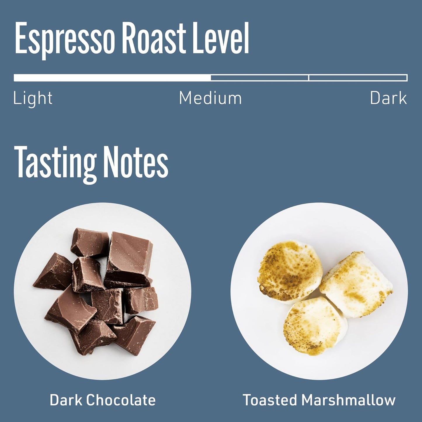 Intelligentsia Coffee, Medium Roast Whole Bean Coffee - Black Cat Analog Espresso 36 Ounces (3 Bags of 12 Ounces)