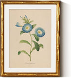 InSimSea Gold Bamboo Framed Canvas Wall Art, Retro Blue Field Bindweed by InSimSeaArt