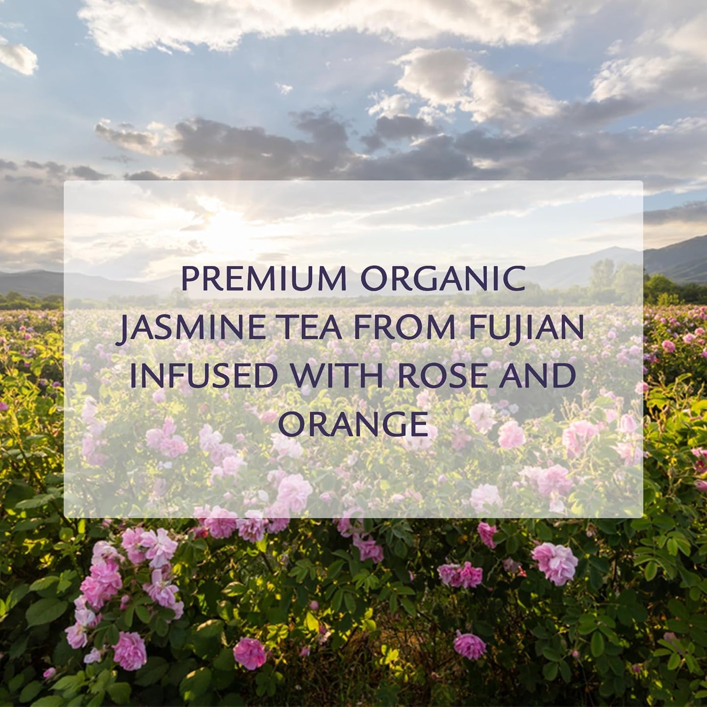 Birdsong Midnight Rosefinch: Organic Jasmine Green Tea with Rose and Orange, Light, Refreshing, Soothin Natural Tea with Citrus and Honey Notes, Medium Caffeine, 15 Pyramid Tea Sachets