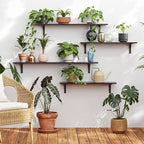 DINZI LVJ Long Wall Shelves, 47.3Inch Wall Mounted Shelves Set of 2, Extra - Image 2