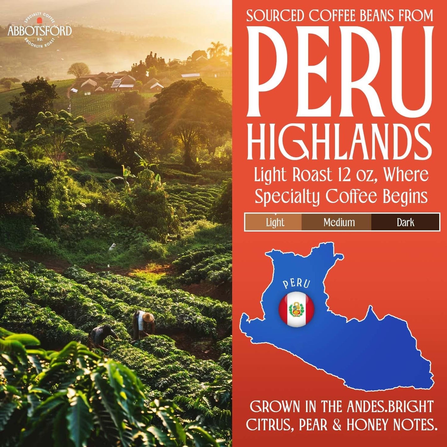 Peru Highlands Ground Coffee, Single Origin Ground Coffee Light Roast with Bright Citrus, Pear, and Honey Floral Finish, Specialty Coffee12 oz Bag, Perfect Andes Coffee Gift
