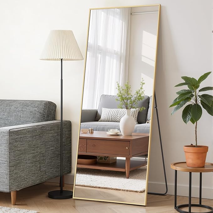 Mirror Full Length 64"x21" Full Body Floor Mirror by SageNest