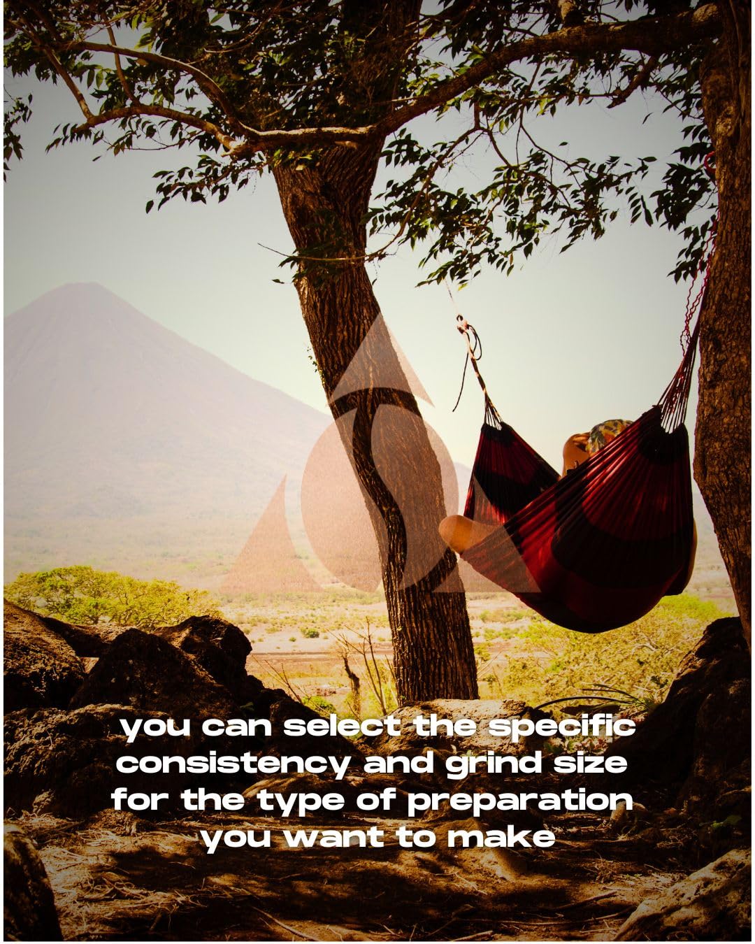 100% Arabica Whole Bean Coffee - Colombia Supremo - Single Origin, Medium Roast, Freshly Roasted Gourmet Coffee, Smooth & Balanced Flavor - 12 oz Bag