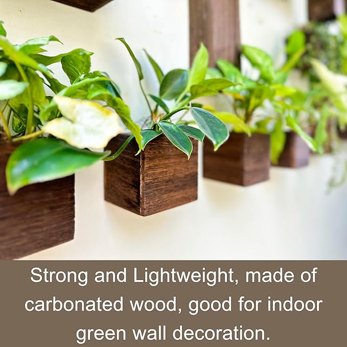 LaLaGreen Indoor Planter Box for Plants Small Square Wooden Wall Mounted - Image 7
