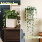 Phoenix Vine 6.5 Inch Wall Mounted Self-Watering Planter Pots - Image 4