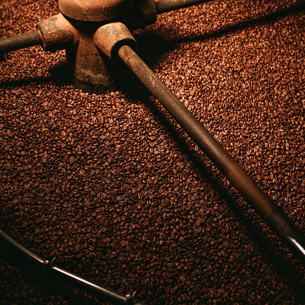 Bristot 100% Arabica Espresso Beans | Italian Espresso Beans | Medium Roast | 1.1lb/500g