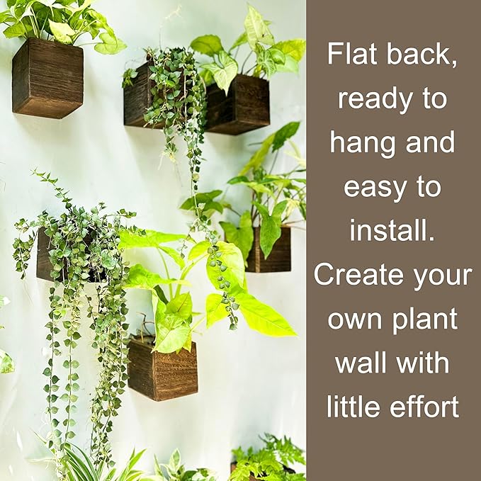 LaLaGreen Wood Planter Boxes for Indoor Plants Small Square Wall Mounted - Image 5