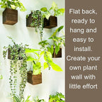 LaLaGreen Wood Planter Boxes for Indoor Plants Small Square Wall Mounted - Image 5