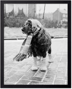 Poster Master Dog Dressed for Winter Print by PosterMaster